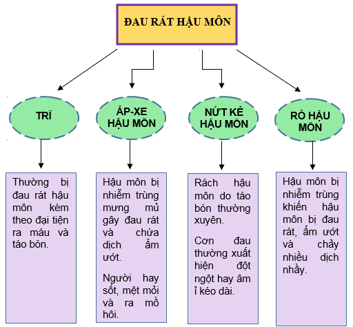 Nguyên nhân đau hậu môn là gì?