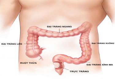 Đi ngoài ra máu: Nguyên nhân và cách điều trị